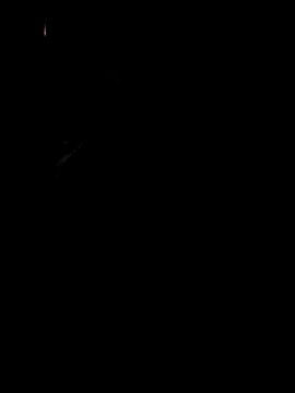 Snapshot of koukou322 chatting on November 2, 10:06 am koukou322 online show from November 2, 10:06 am