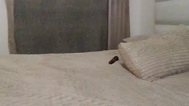 SexyNonnyy online show from October 10, 6:40 pm