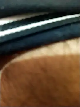 8inches DelhiBOY online show from November 17, 5:13 am