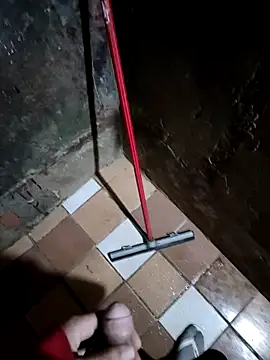 011Nort online show from November 11, 4:12 am