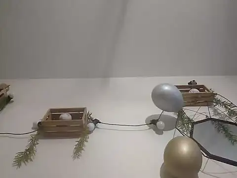 nousmeme0123 online show from February 20, 2:52 am