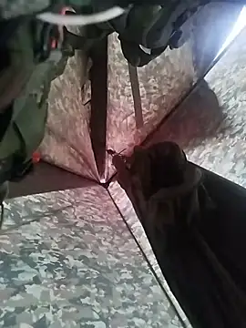 Alabestia12 online show from November 5, 9:48 pm