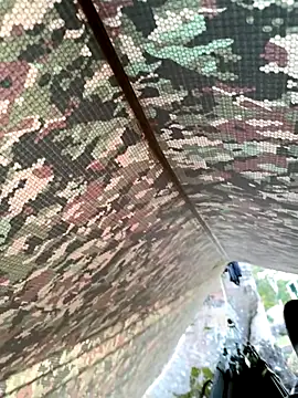 Alabestia12 online show from November 11, 11:21 am