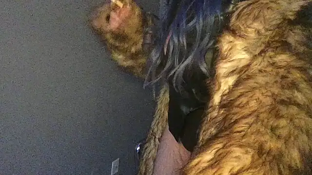 Stevey5894 online show from November 30, 5:28 pm