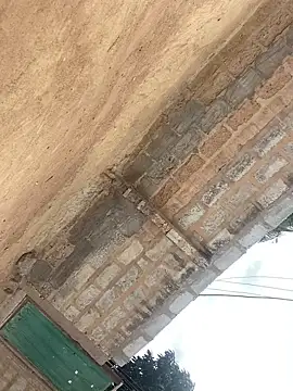 Jaydemasked online show from November 28, 11:35 am