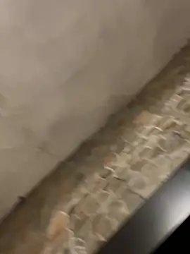 BrandonBlack online show from February 7, 12:25 am