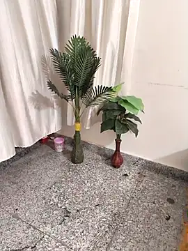 Shalu G online show from September 28, 5:40 pm