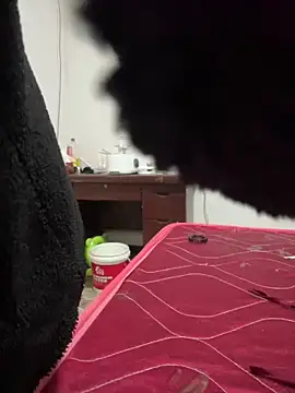 Snapshot of crhong666 chatting on December 16, 12:26 am crhong666 online show from December 16, 12:26 am