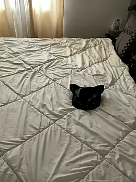 Snapshot of LesAmantsAE2 chatting on October 11, 8:13 am LesAmantsAE2 online show from October 11, 8:13 am