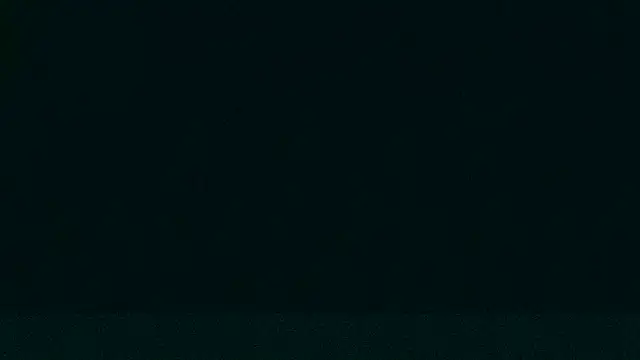 Snapshot of LeeCox chatting on December 21, 9:33 am LeeCox online show from December 21, 9:33 am