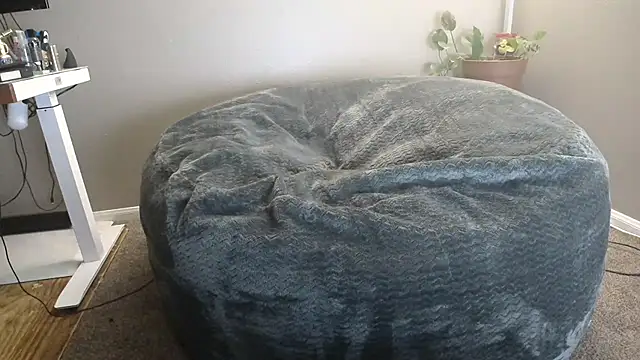 Snapshot of LeeCox chatting on January 4, 3:07 pm LeeCox online show from January 4, 3:07 pm