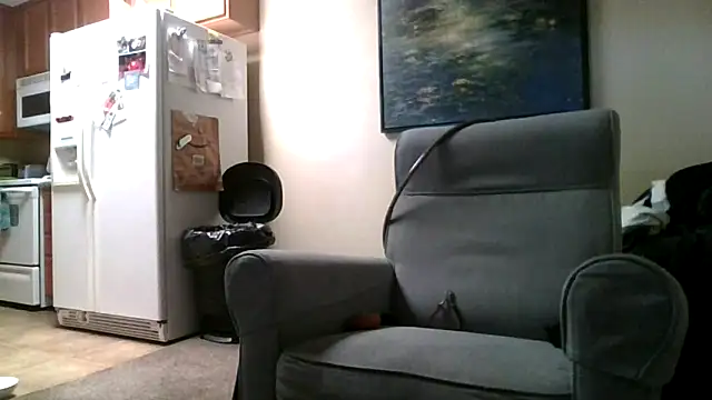 Snapshot of LeeCox chatting on February 2, 6:31 pm LeeCox online show from February 2, 6:31 pm