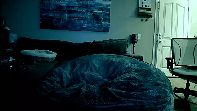 Snapshot of LeeCox chatting on February 4, 1:16 pm LeeCox online show from February 4, 1:16 pm