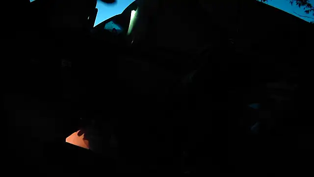 Snapshot of IsAparty chatting on November 11, 11:54 am IsAparty online show from November 11, 11:54 am