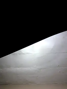 mileesha online show from January 17, 6:33 pm