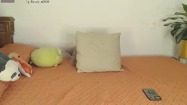 Snapshot of Raven06_ chatting on November 11, 12:10 am Raven06 online show from November 11, 12:10 am