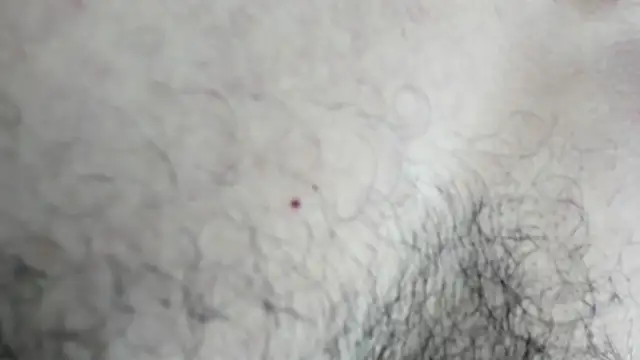 Snapshot of latinhotmuscle chatting on October 31, 3:18 am latinhotmuscle online show from October 31, 3:18 am