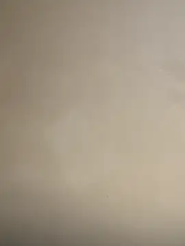 OrchidBae online show from September 22, 6:15 am