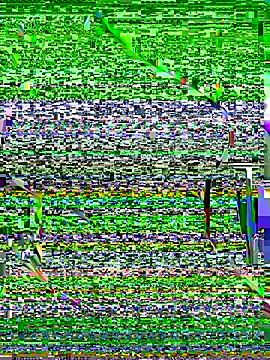 OrchidBae online show from October 8, 12:25 pm