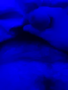 Snapshot of Derfick200 chatting on December 2, 7:09 pm Derfick200 online show from December 2, 7:09 pm