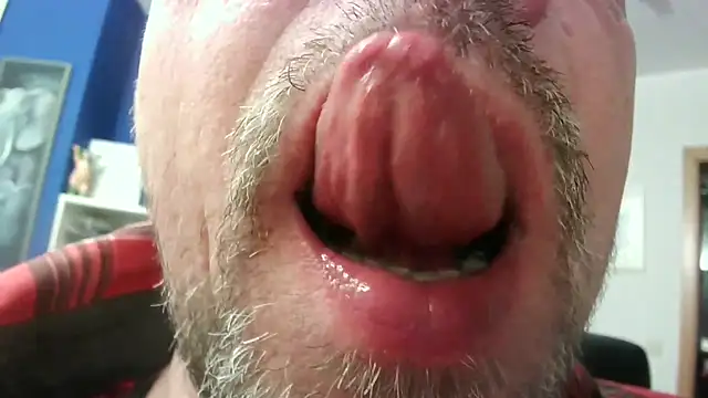 circus bearxh online show from November 23, 6:46 am