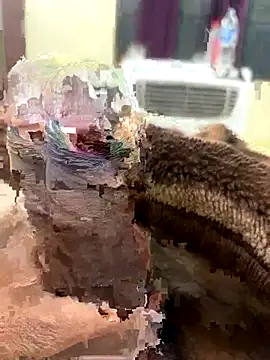 Snapshot of its_Surya_BBC chatting on November 27, 12:40 pm its Surya BBC online show from November 27, 12:40 pm