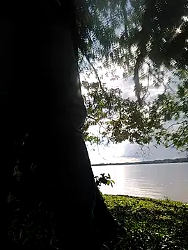 Snapshot of delesteli chatting on November 1, 8:33 pm delesteli online show from November 1, 8:33 pm