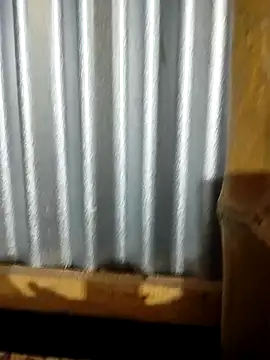 Snapshot of Nusrat-Q chatting on October 3, 1:52 pm Nusrat-Q online show from October 3, 1:52 pm