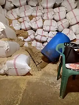 ezgi2545 online show from April 19, 11:09 am