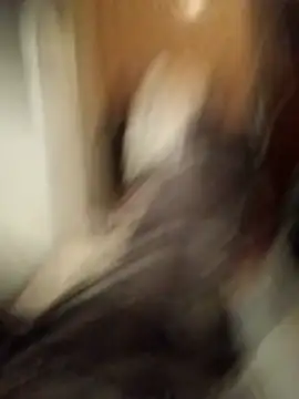 Empi19cm online show from October 24, 4:42 am