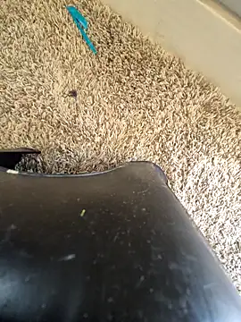 EsDezz88 online show from March 22, 8:23 pm