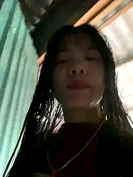 PhanHaa online show from November 26, 8:37 am