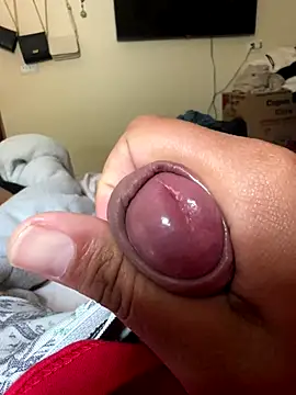 Snapshot of Ksc1802 chatting on November 12, 4:51 pm Ksc1802 online show from November 12, 4:51 pm