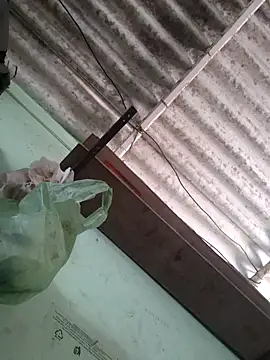 akshant1234 online show from November 17, 4:51 am