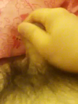 Hl1979 online show from February 27, 9:04 pm