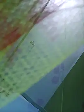 Snapshot of Apkisona8 chatting on September 24, 4:21 pm Apkisona8 online show from September 24, 4:21 pm