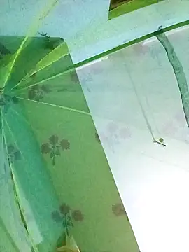 Snapshot of Apkisona8 chatting on November 18, 5:06 pm Apkisona8 online show from November 18, 5:06 pm