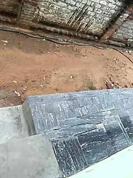 dolphiinn online show from October 17, 2:48 am