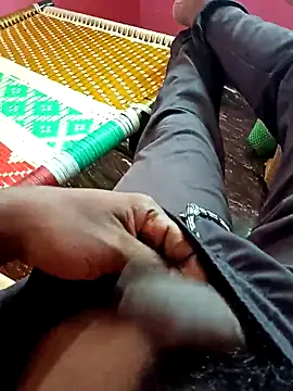 dolphiinn online show from November 1, 4:25 am