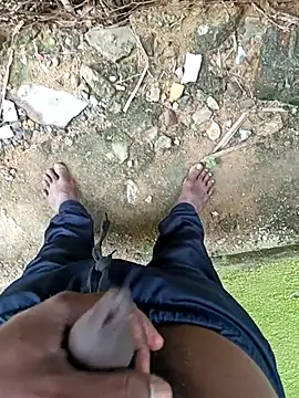 dolphiinn online show from December 18, 4:18 am