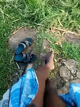 dolphiinn online show from January 8, 2:03 am