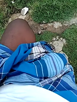 dolphiinn online show from March 23, 6:28 am