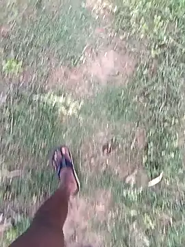 dolphiinn online show from March 27, 1:00 am