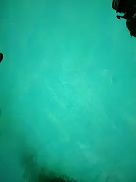 Arti13A online show from January 17, 3:17 pm