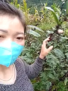 qychiu online show from November 13, 1:48 am