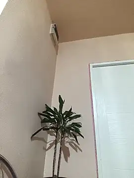 Snapshot of papichulo0099 chatting on October 21, 3:07 am papichulo0099 online show from October 21, 3:07 am