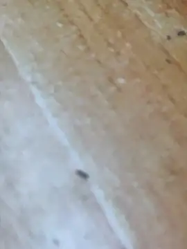 Snapshot of Markroco696 chatting on October 16, 4:24 am Markroco696 online show from October 16, 4:24 am