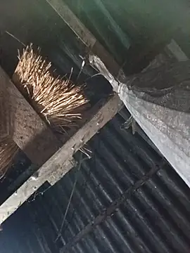  Helala  online show from October 17, 11:07 pm