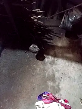  Helala  online show from November 21, 12:32 am