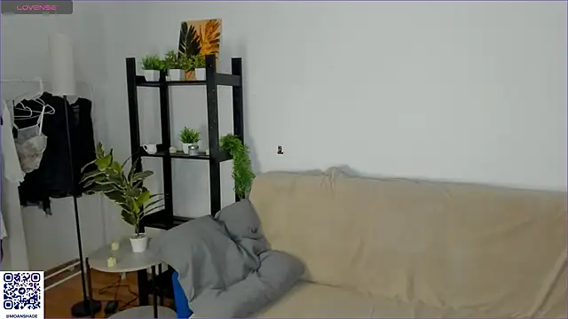 BlurryWish online show from November 28, 3:14 pm